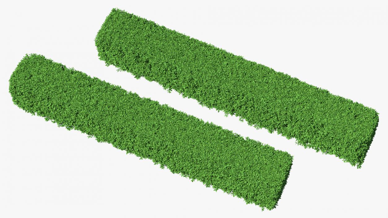 Boxwood Hedge Fence 3D model