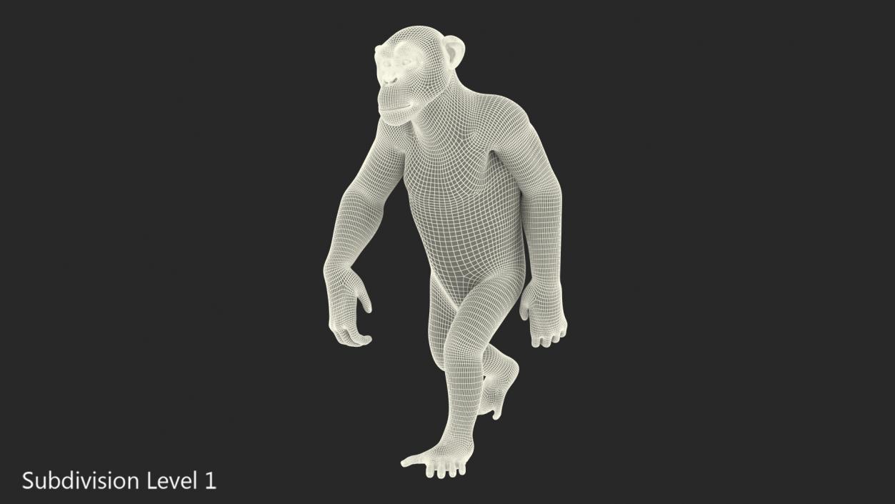 3D Animated Chimpanzee Walking Dark Skin Fur Rigged model