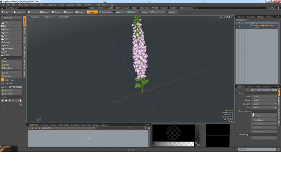 Digitalis Purpurea Plant 3D model