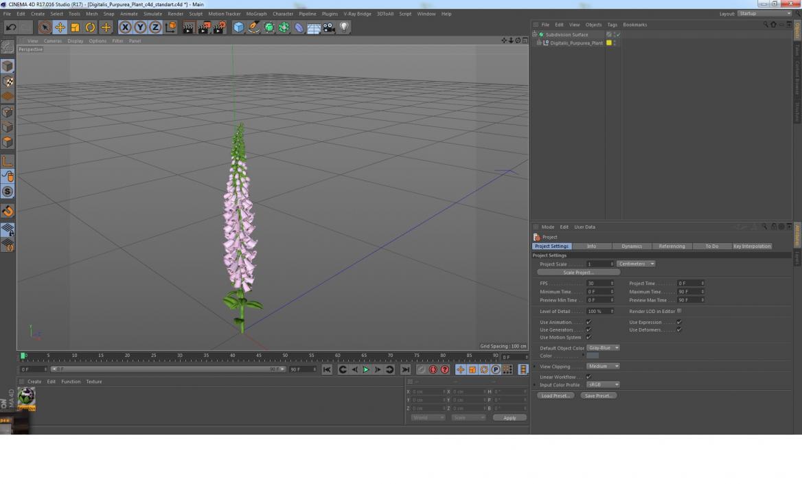 Digitalis Purpurea Plant 3D model