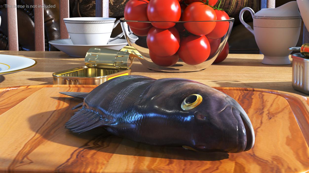 3D model Caught Perca Fluviatilis Fish Lying