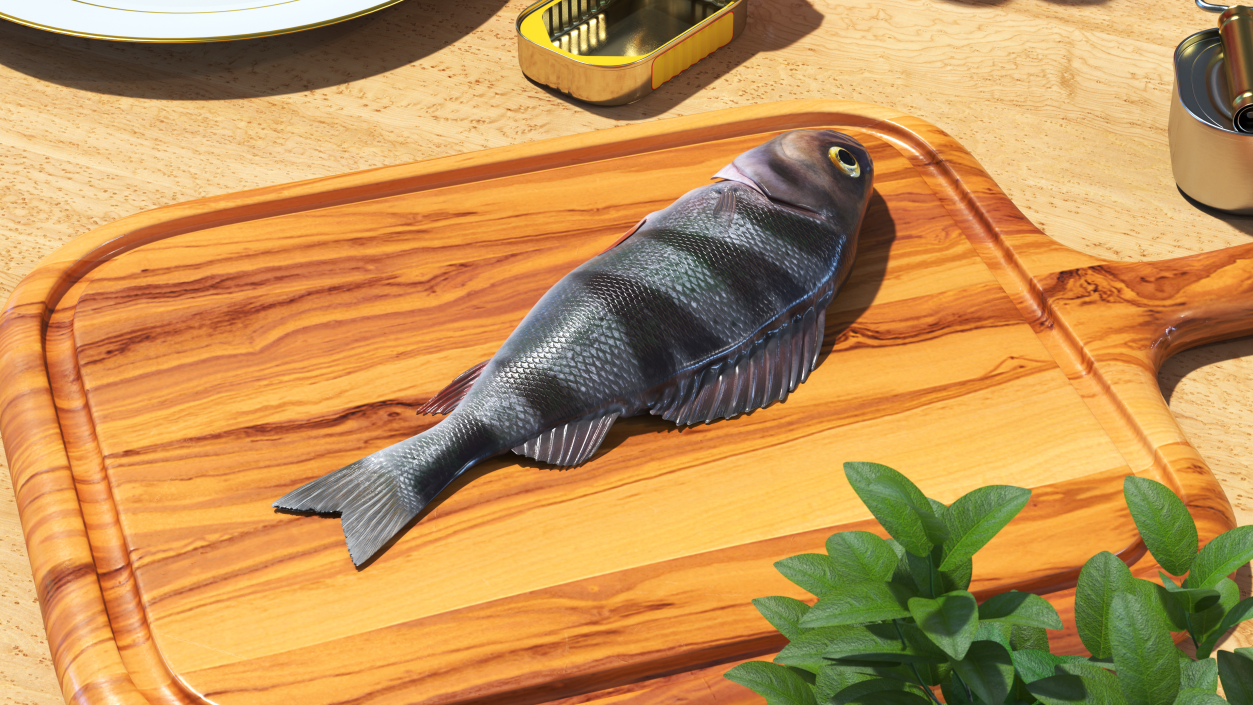 3D model Caught Perca Fluviatilis Fish Lying