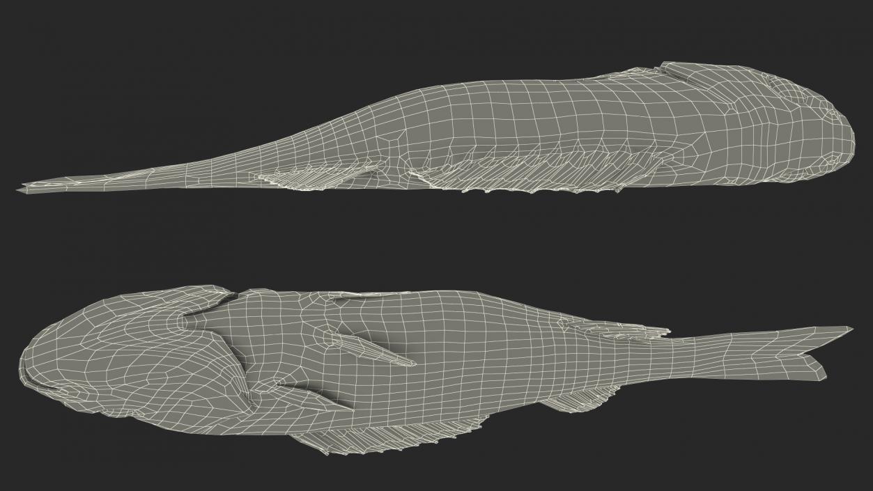 3D model Caught Perca Fluviatilis Fish Lying