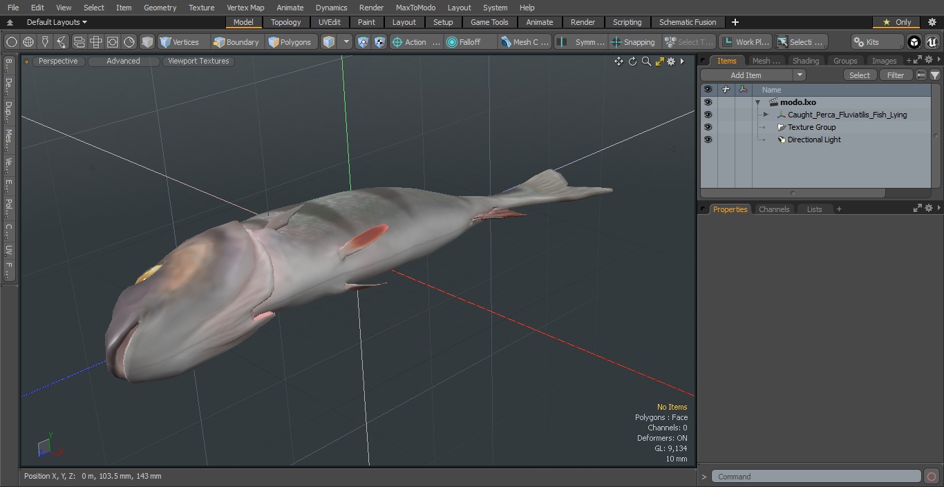 3D model Caught Perca Fluviatilis Fish Lying