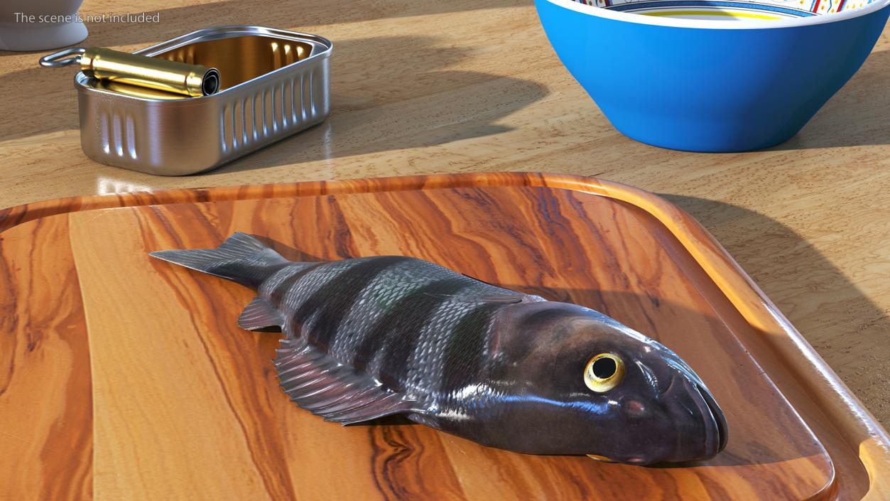 3D model Caught Perca Fluviatilis Fish Lying