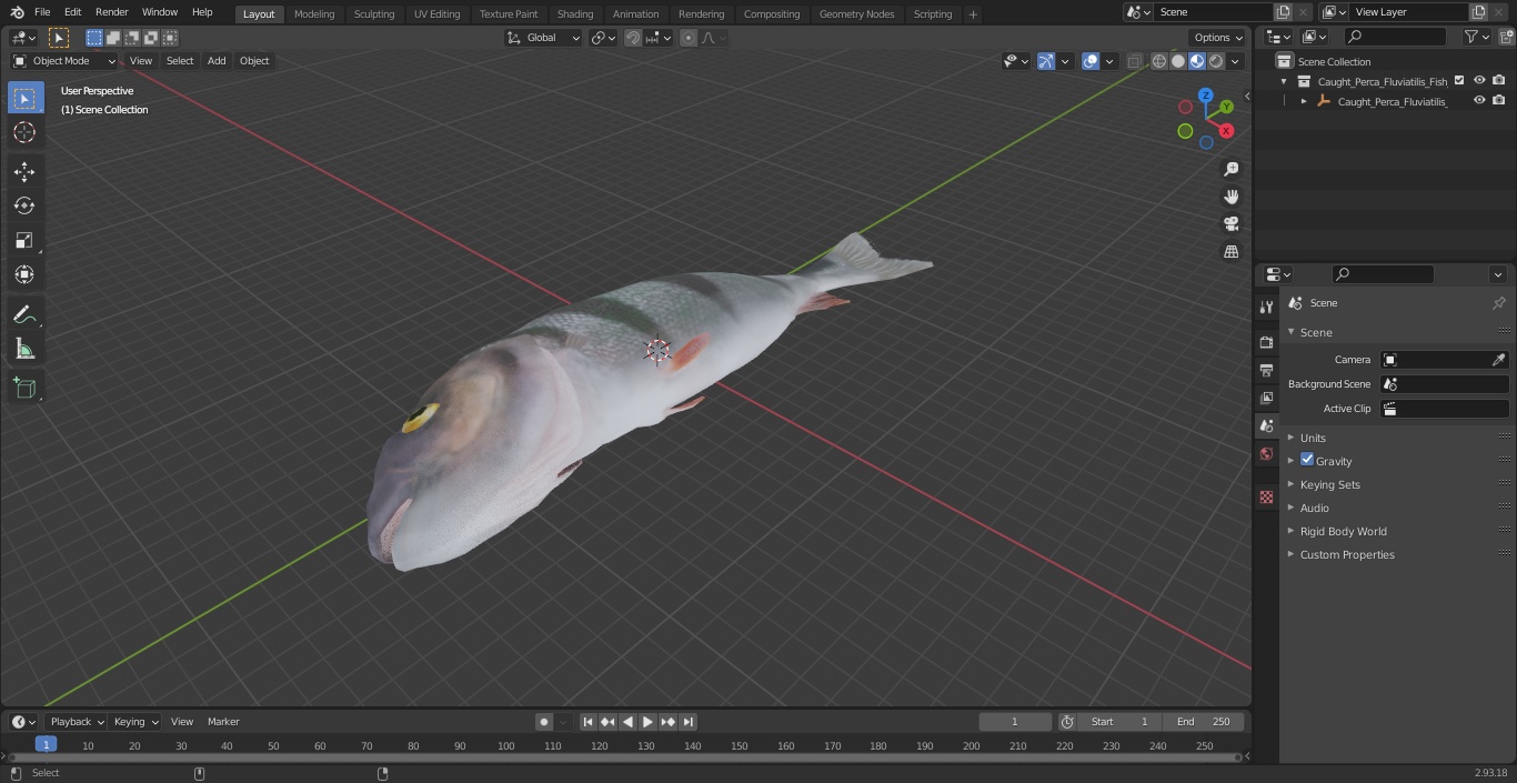 3D model Caught Perca Fluviatilis Fish Lying