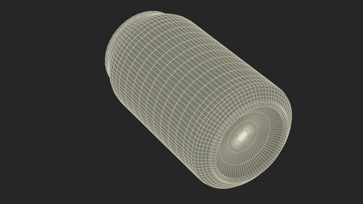 Lager Beer Can 3D model