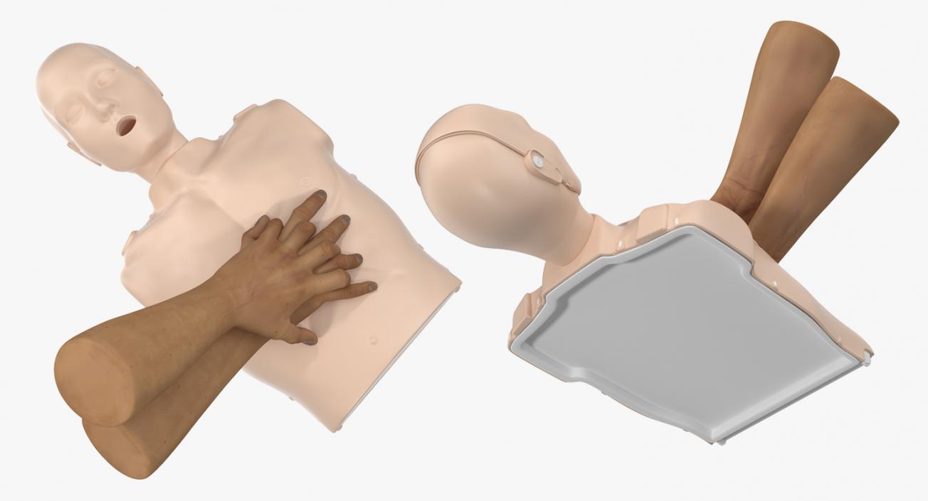 CPR Dummy Chest Compression 3D