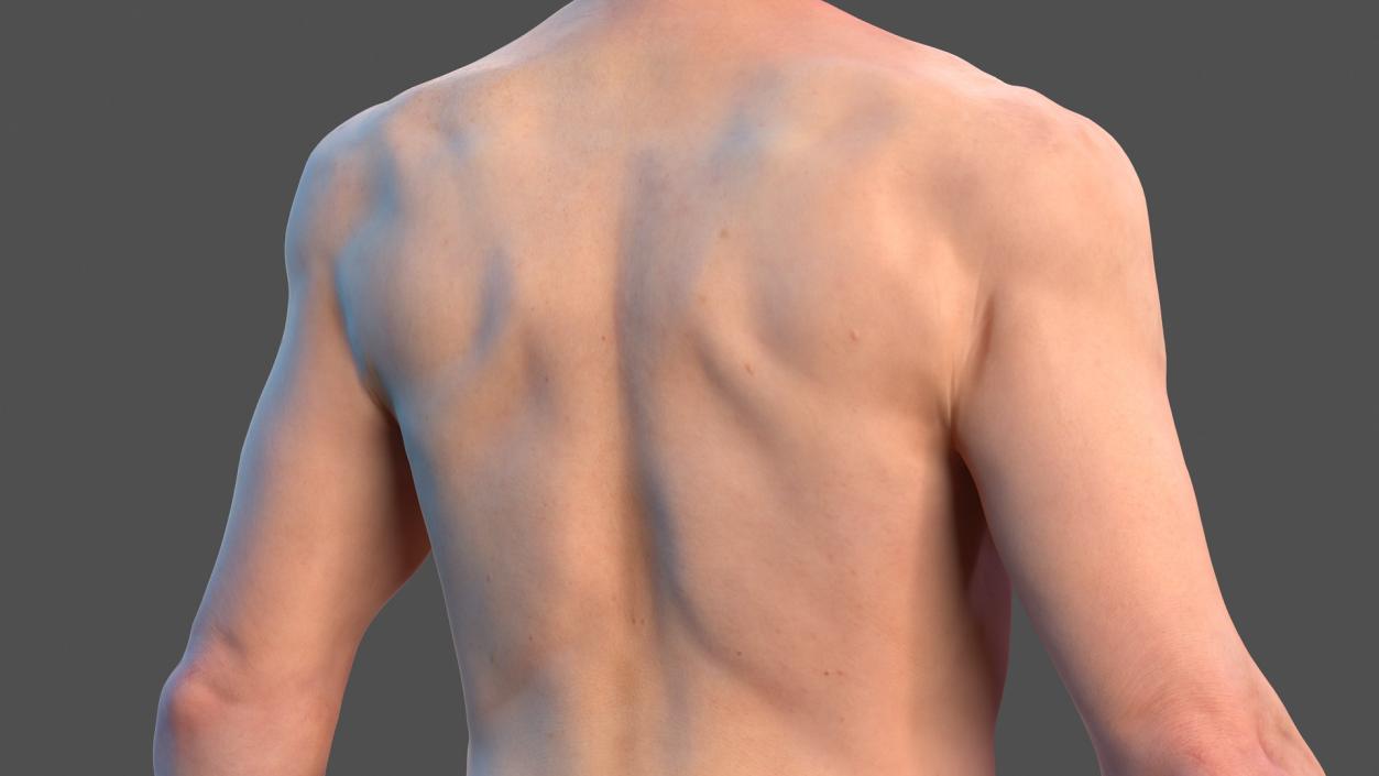 Male Full Body Nude 3D model