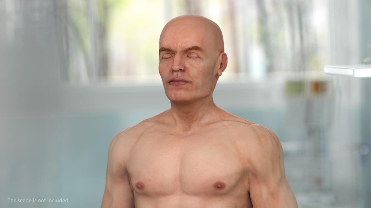 Male Full Body Nude 3D model