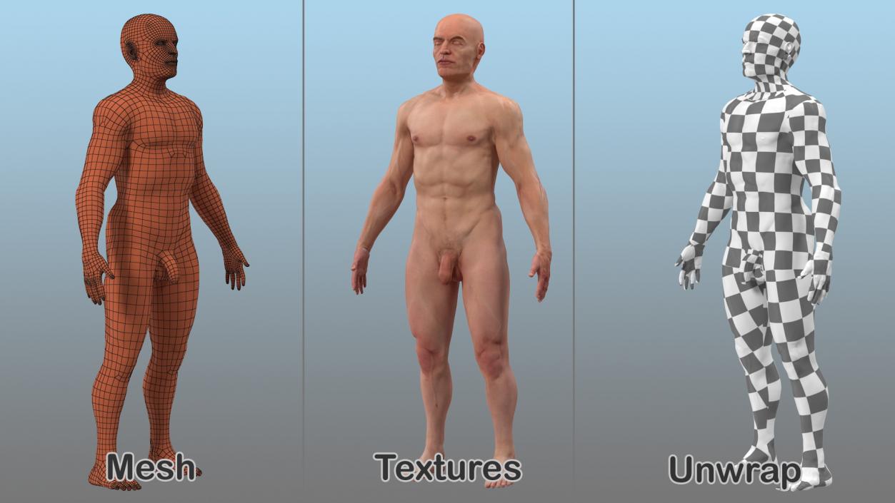 Male Full Body Nude 3D model