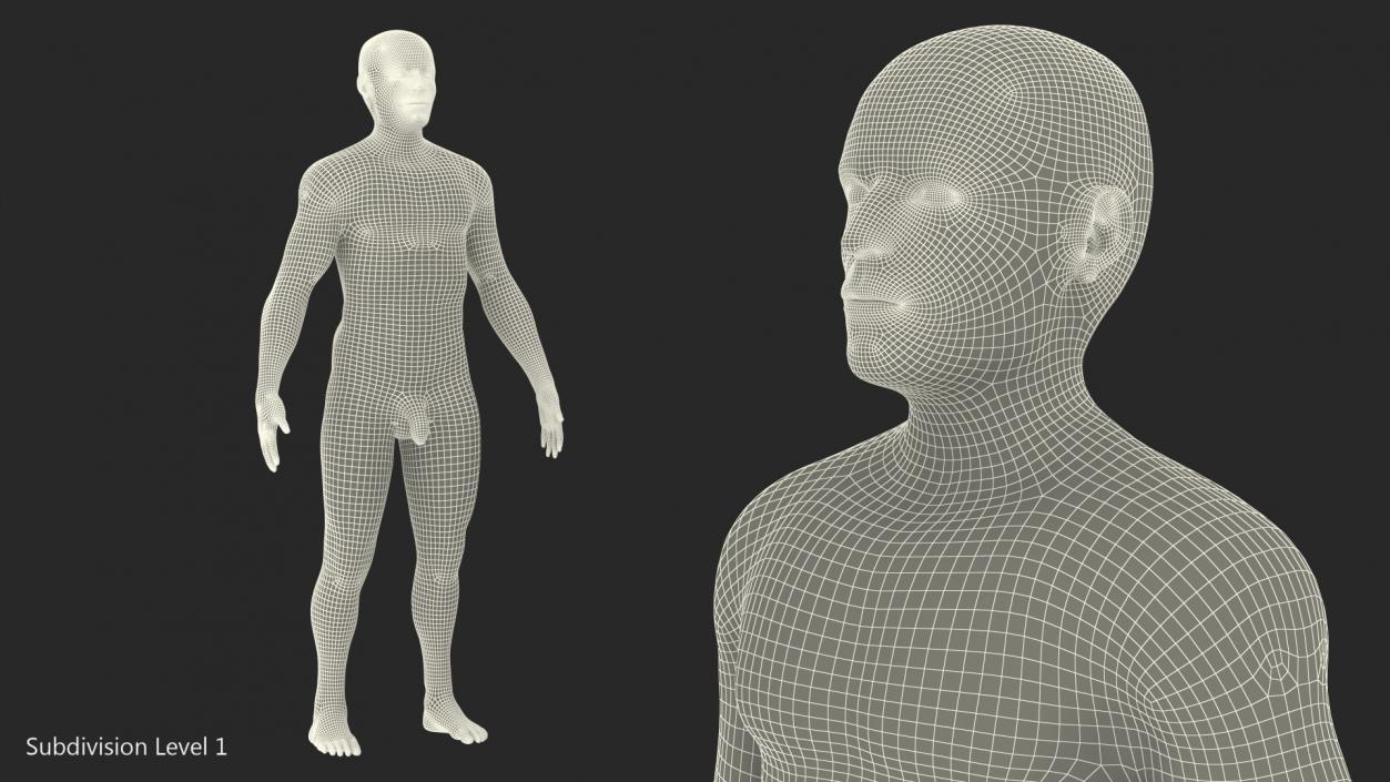 Male Full Body Nude 3D model