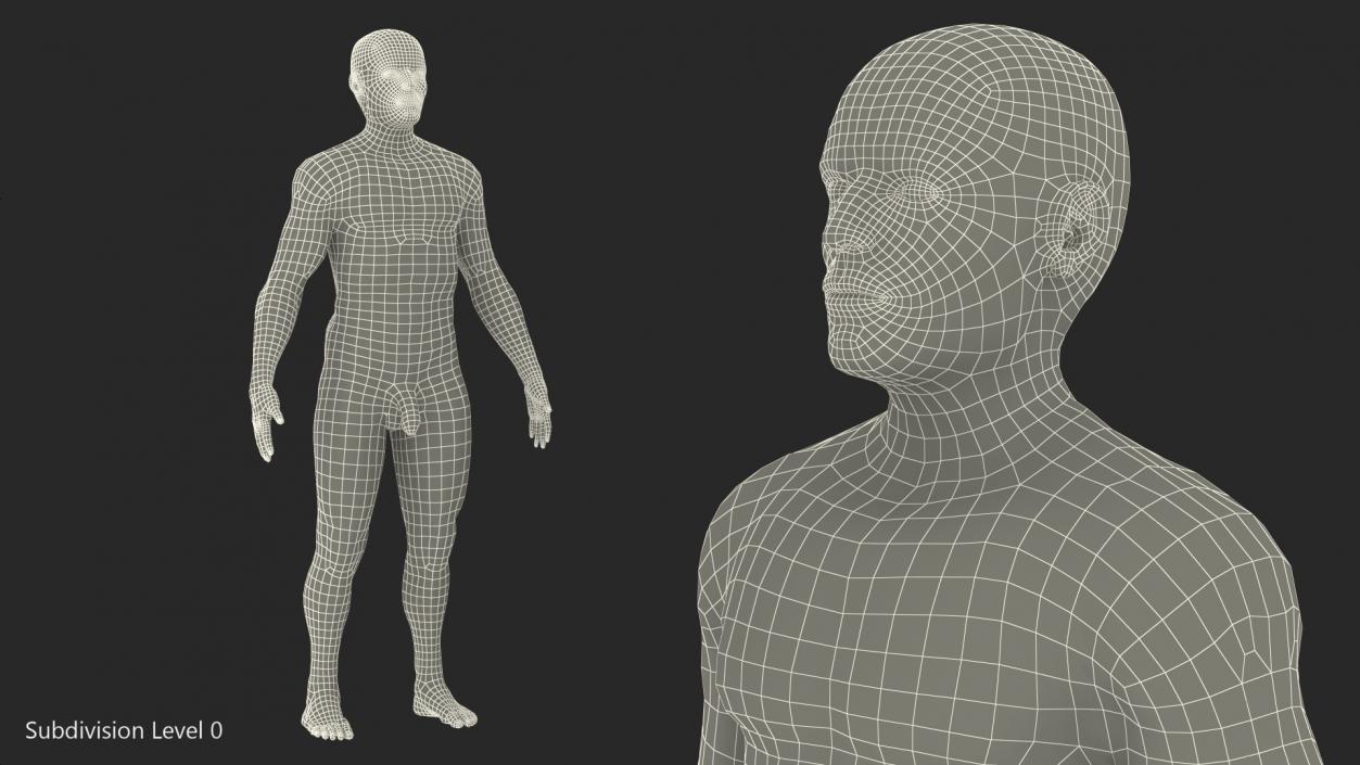 Male Full Body Nude 3D model