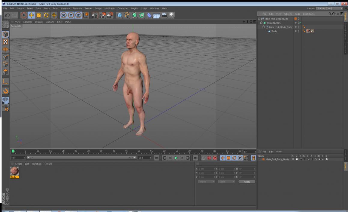 Male Full Body Nude 3D model