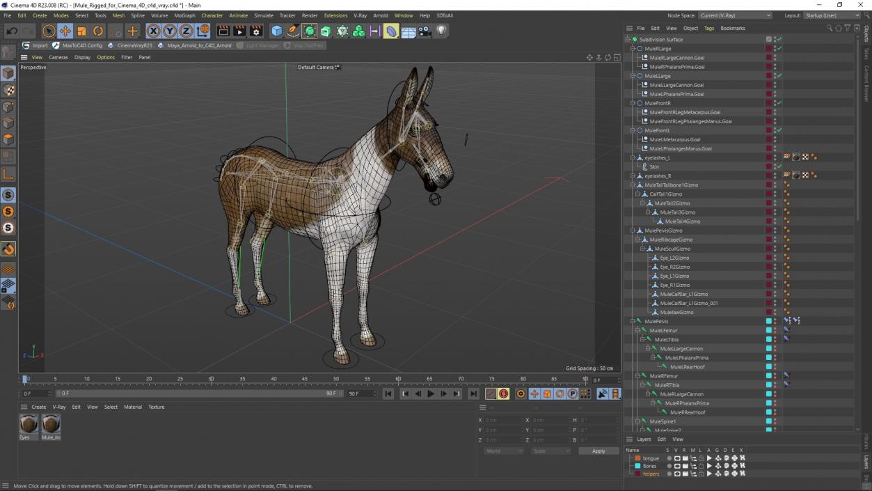 3D model Mule Rigged for Cinema 4D