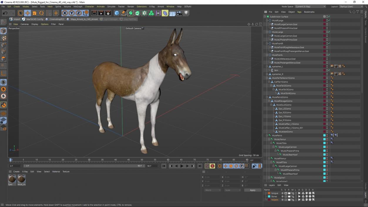 3D model Mule Rigged for Cinema 4D