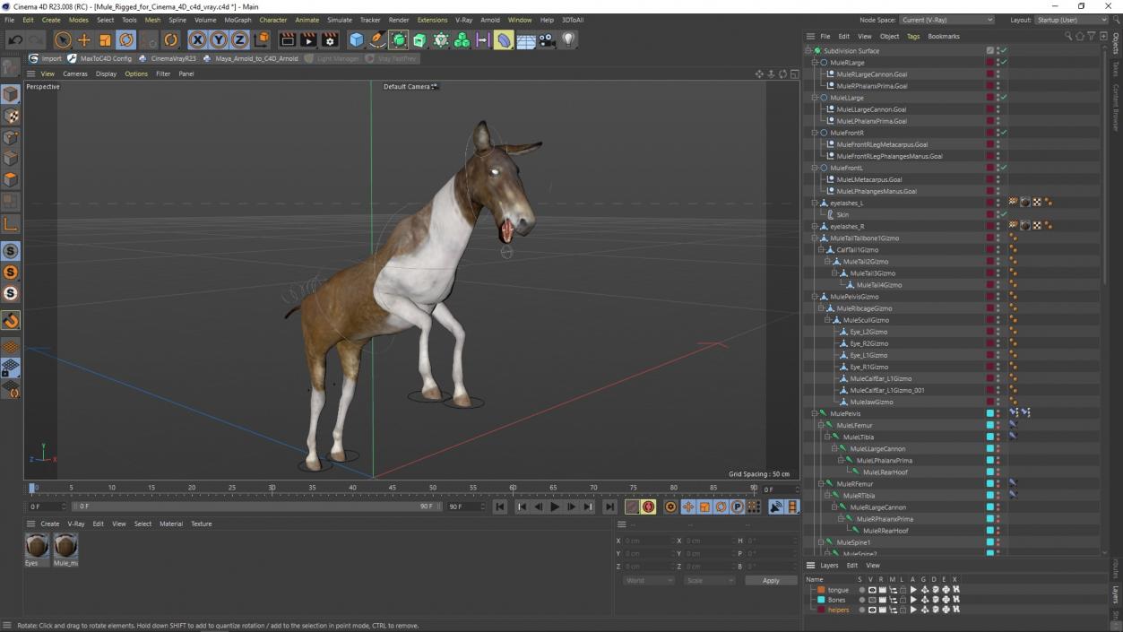 3D model Mule Rigged for Cinema 4D