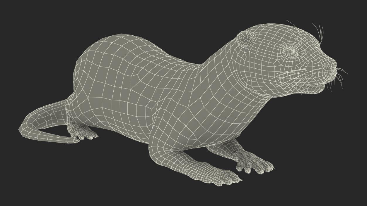 River Otter Lying Pose 3D