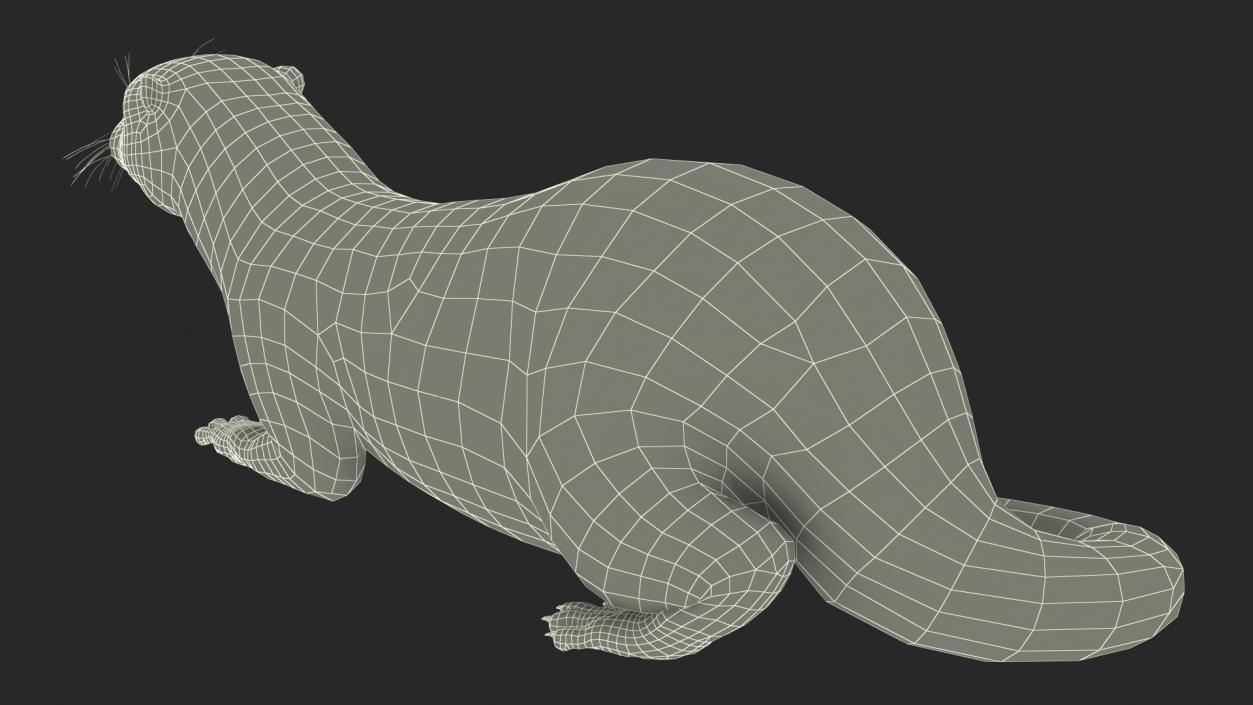 River Otter Lying Pose 3D