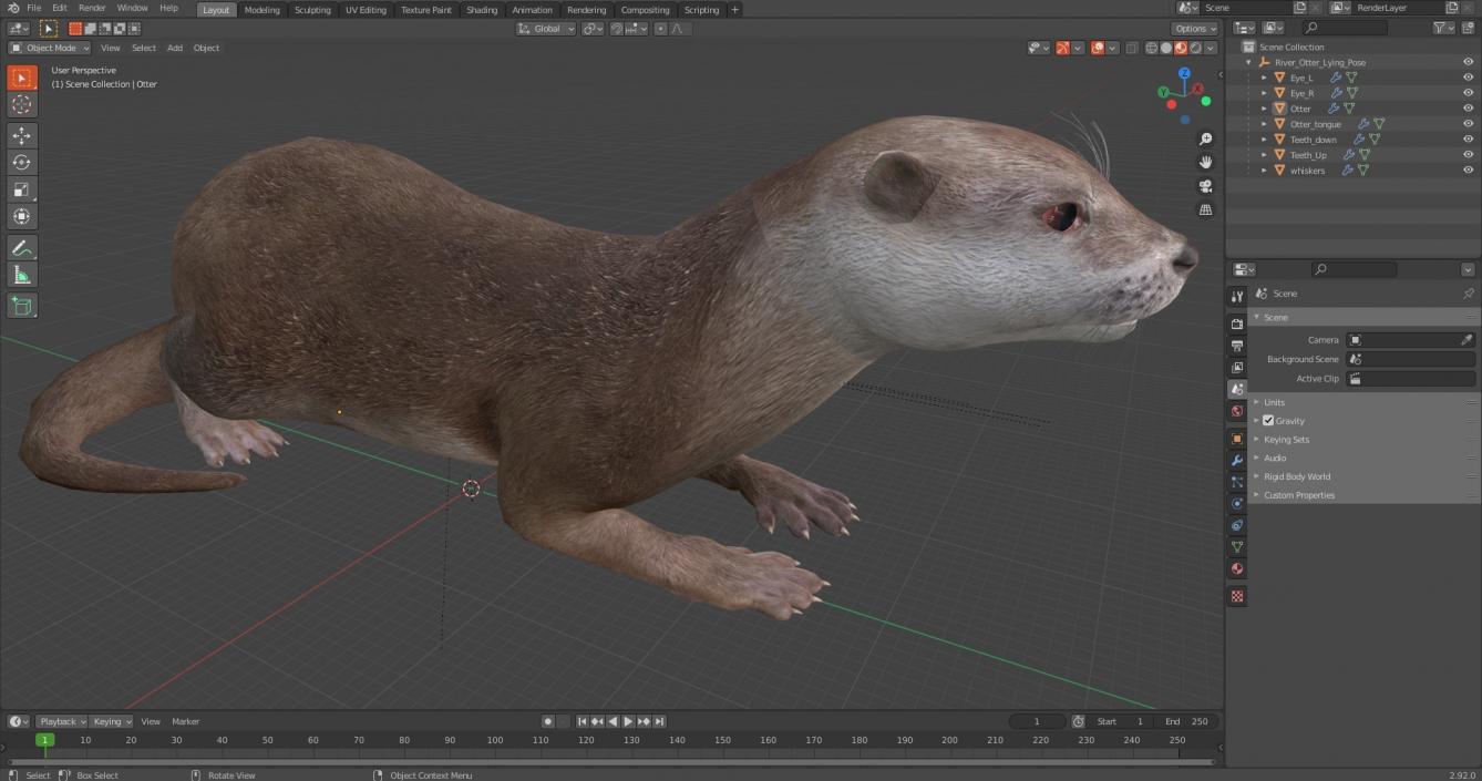 River Otter Lying Pose 3D