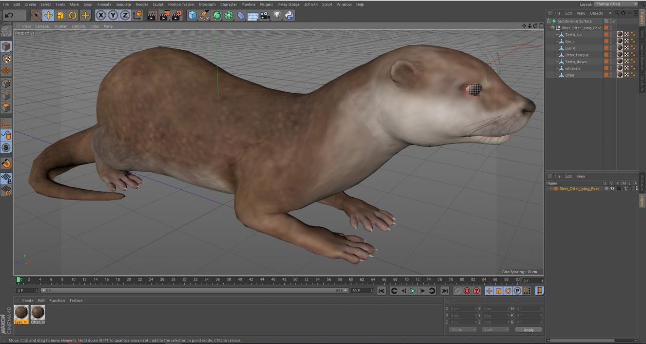 River Otter Lying Pose 3D