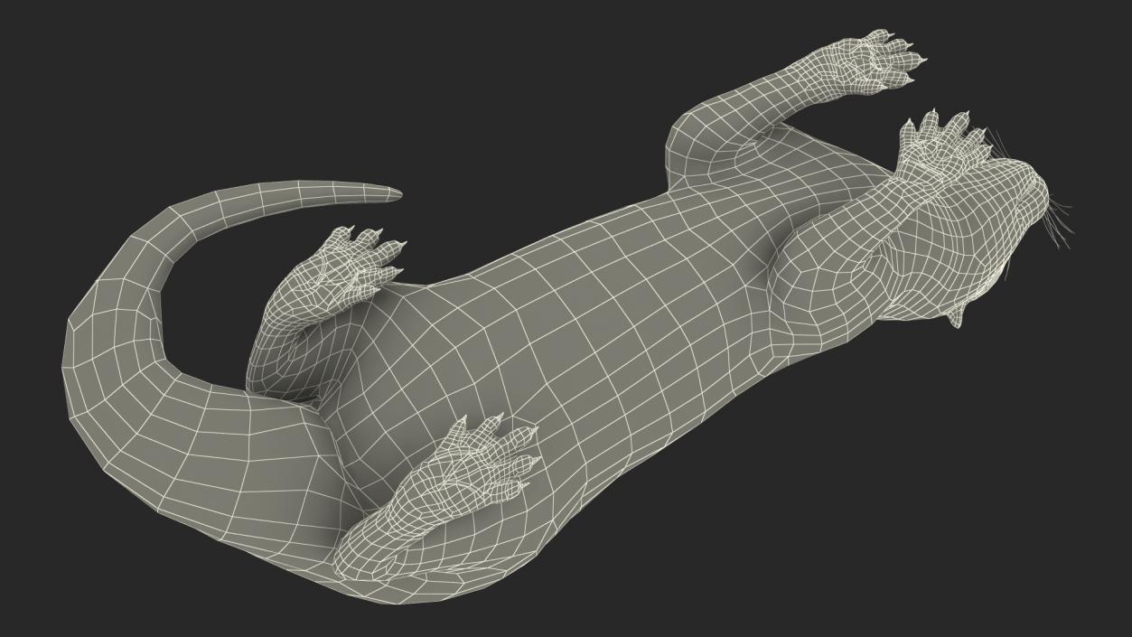 River Otter Lying Pose 3D