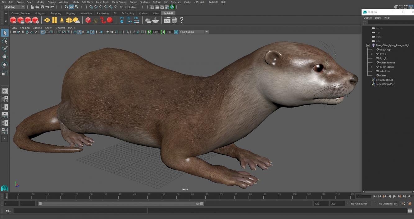 River Otter Lying Pose 3D