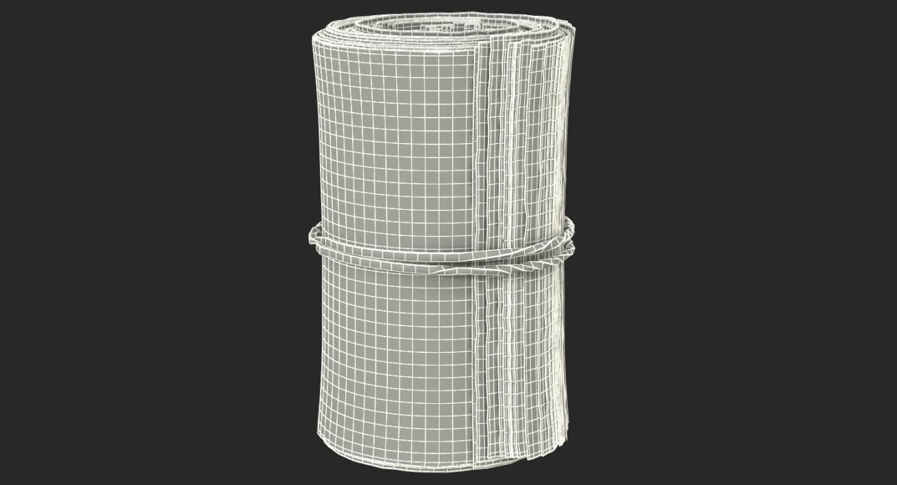 3D Roll Of New 100 Dollar Bills model