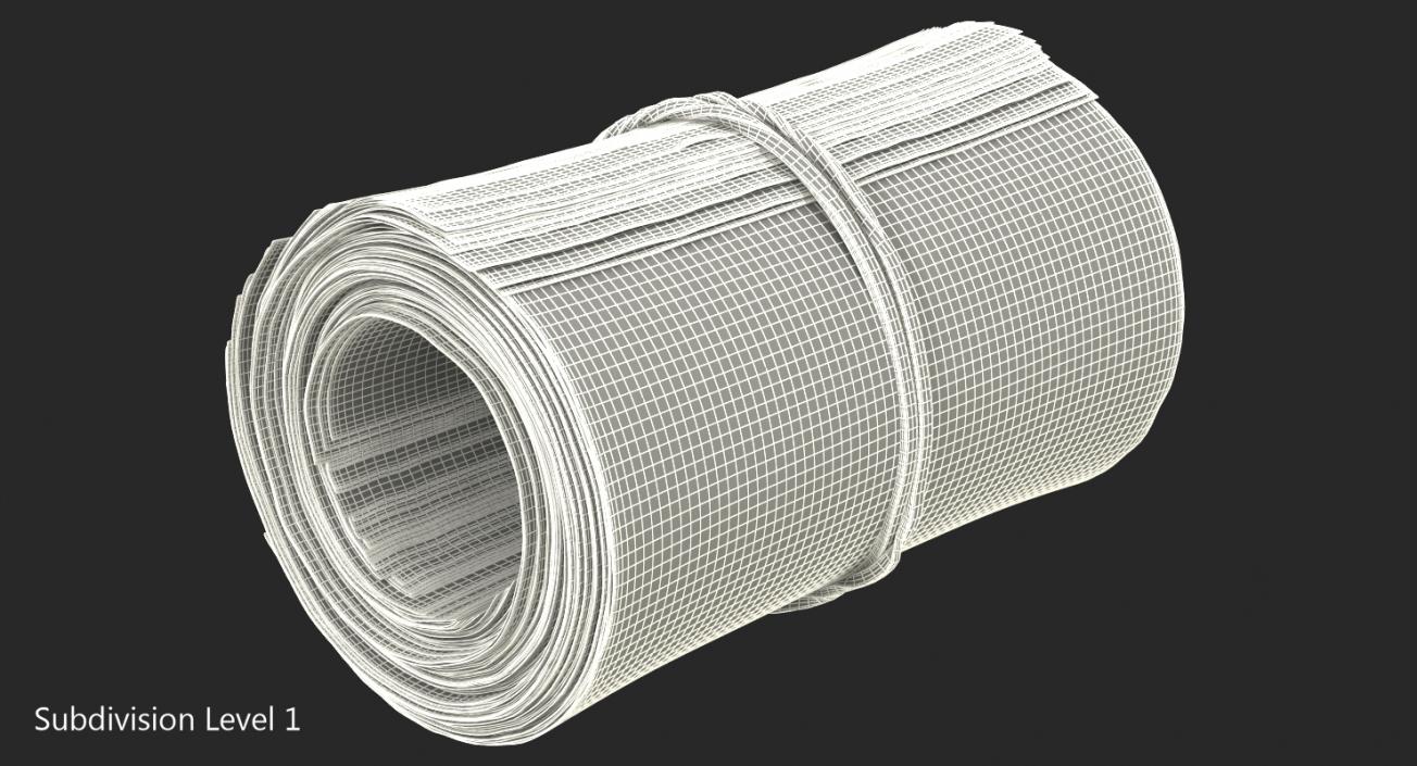 3D Roll Of New 100 Dollar Bills model