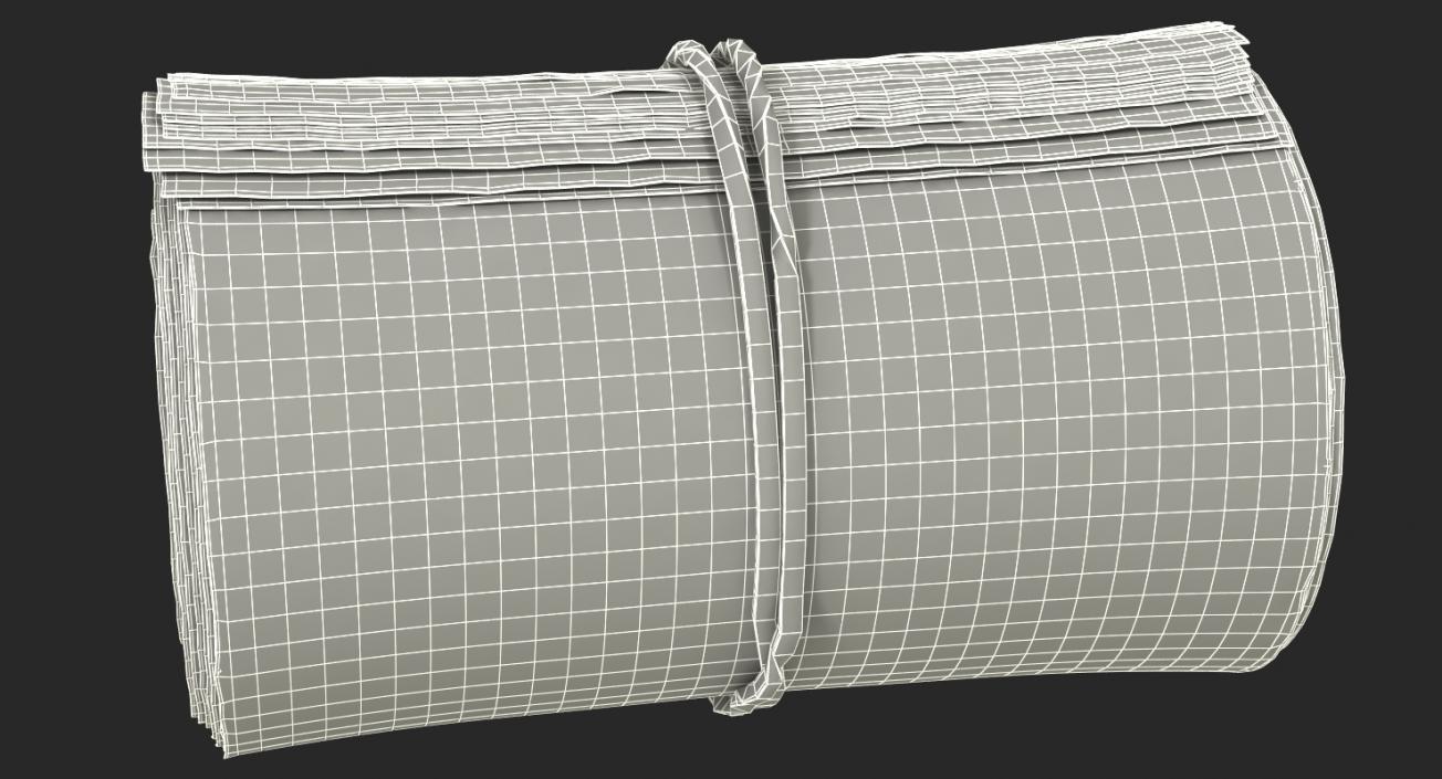 3D Roll Of New 100 Dollar Bills model