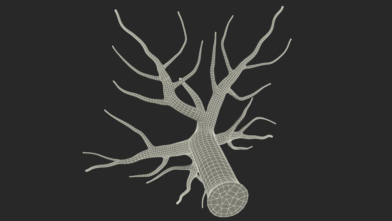 3D Morus Tree Trunk