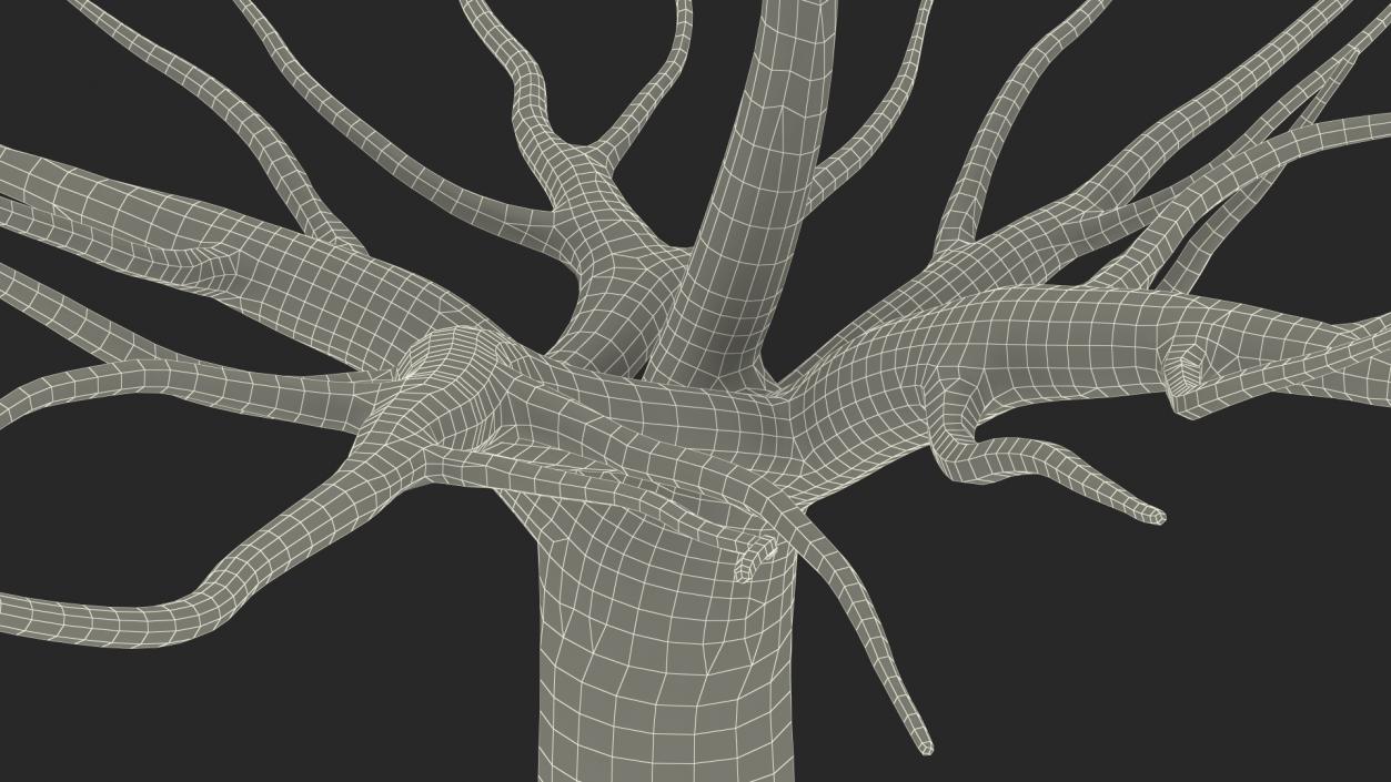 3D Morus Tree Trunk