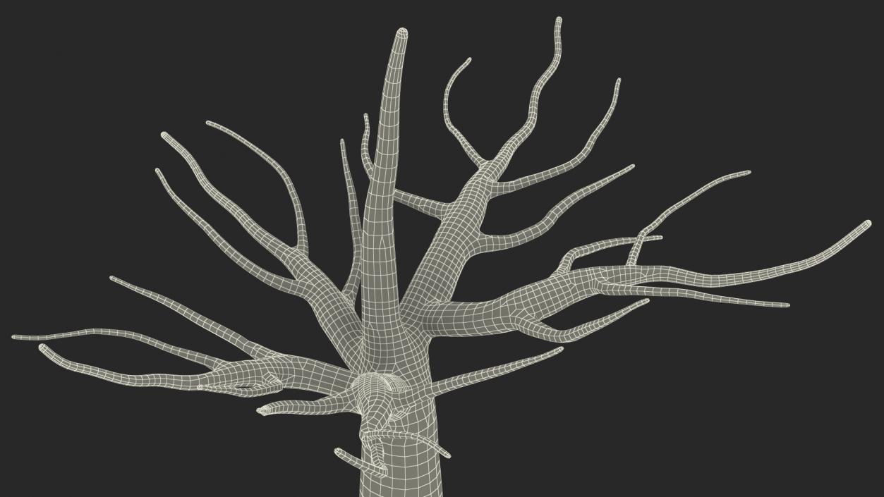 3D Morus Tree Trunk