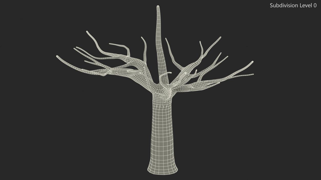 3D Morus Tree Trunk