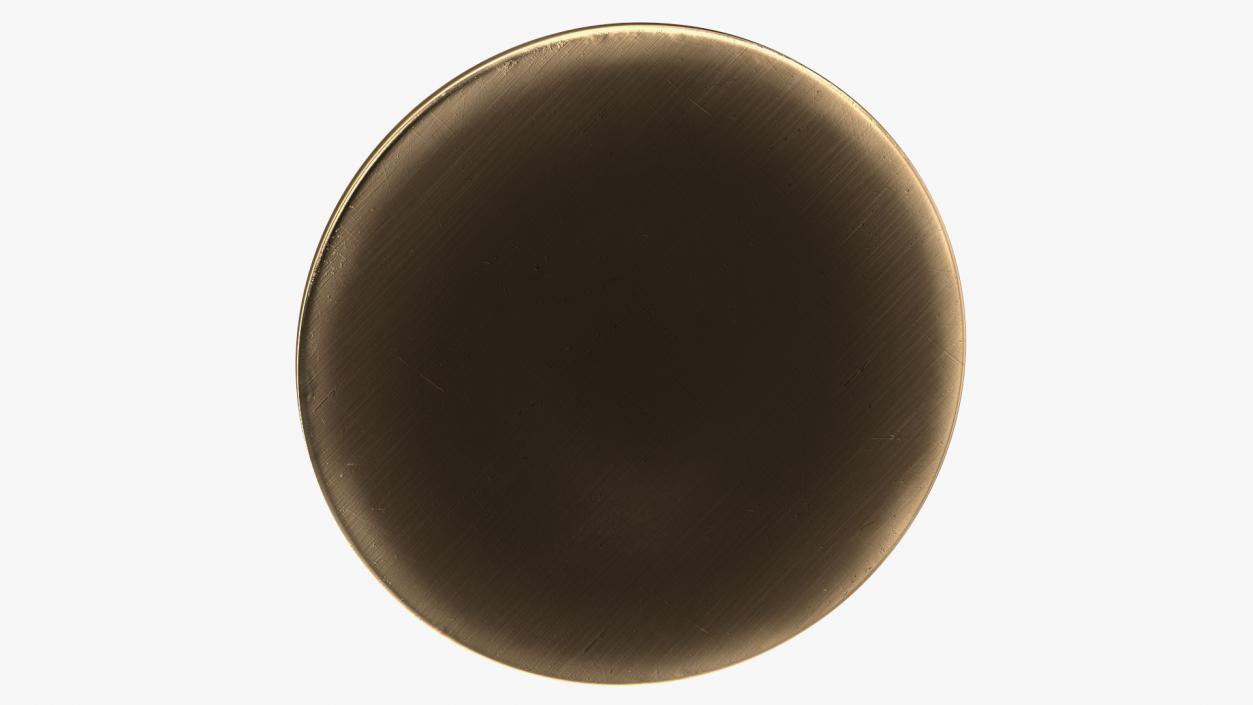 3D Round Solid Brass Doorbell Button model