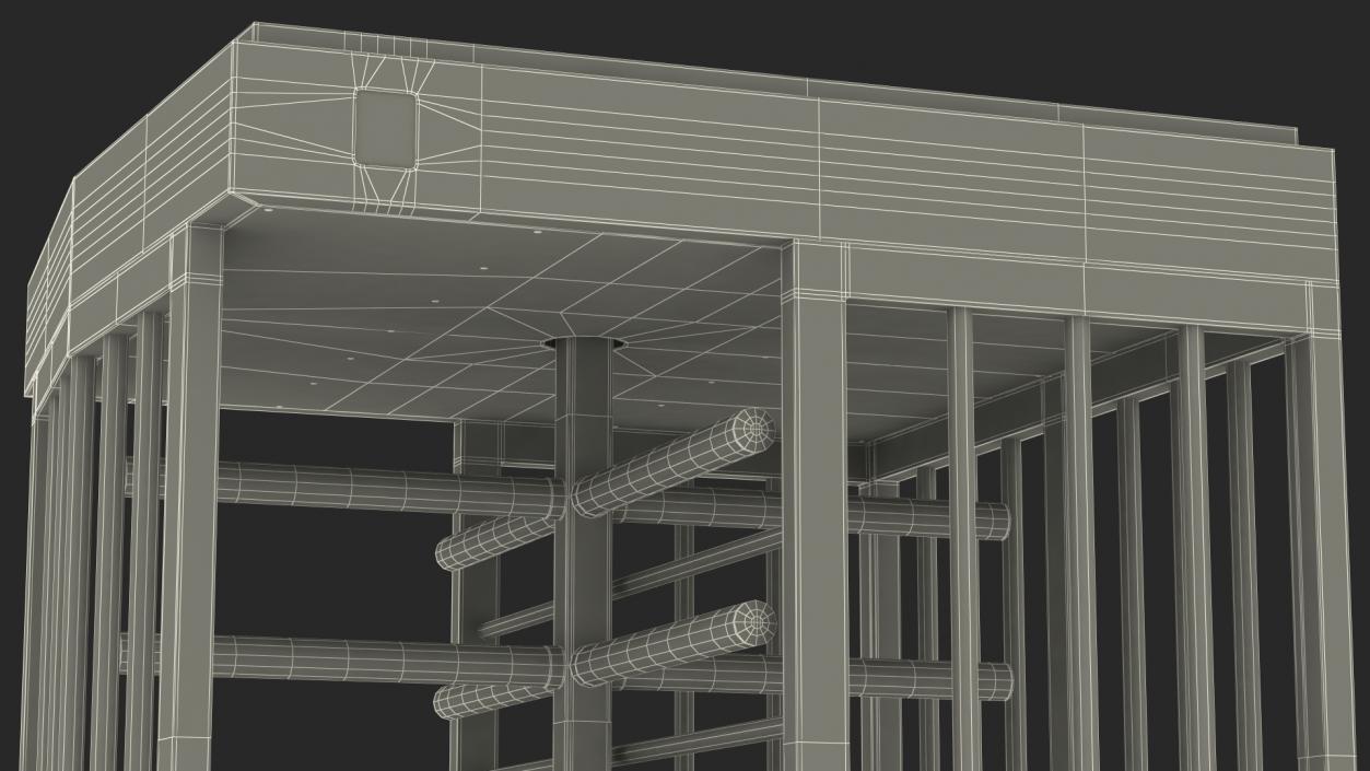 Stainless Steel Security Turnstile 3D model