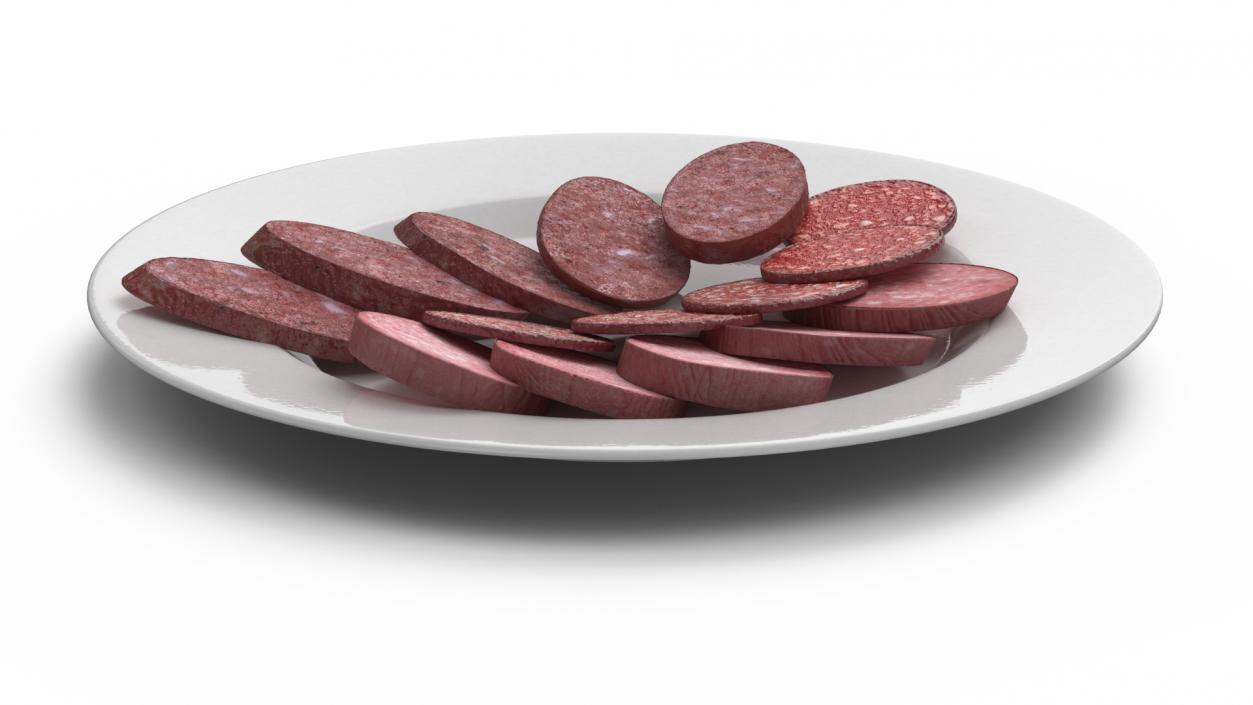 Slices of Delicious Sausage Salami 3D model