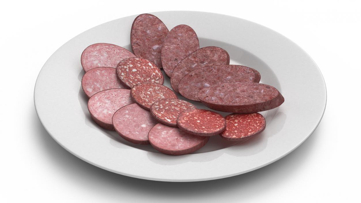 Slices of Delicious Sausage Salami 3D model