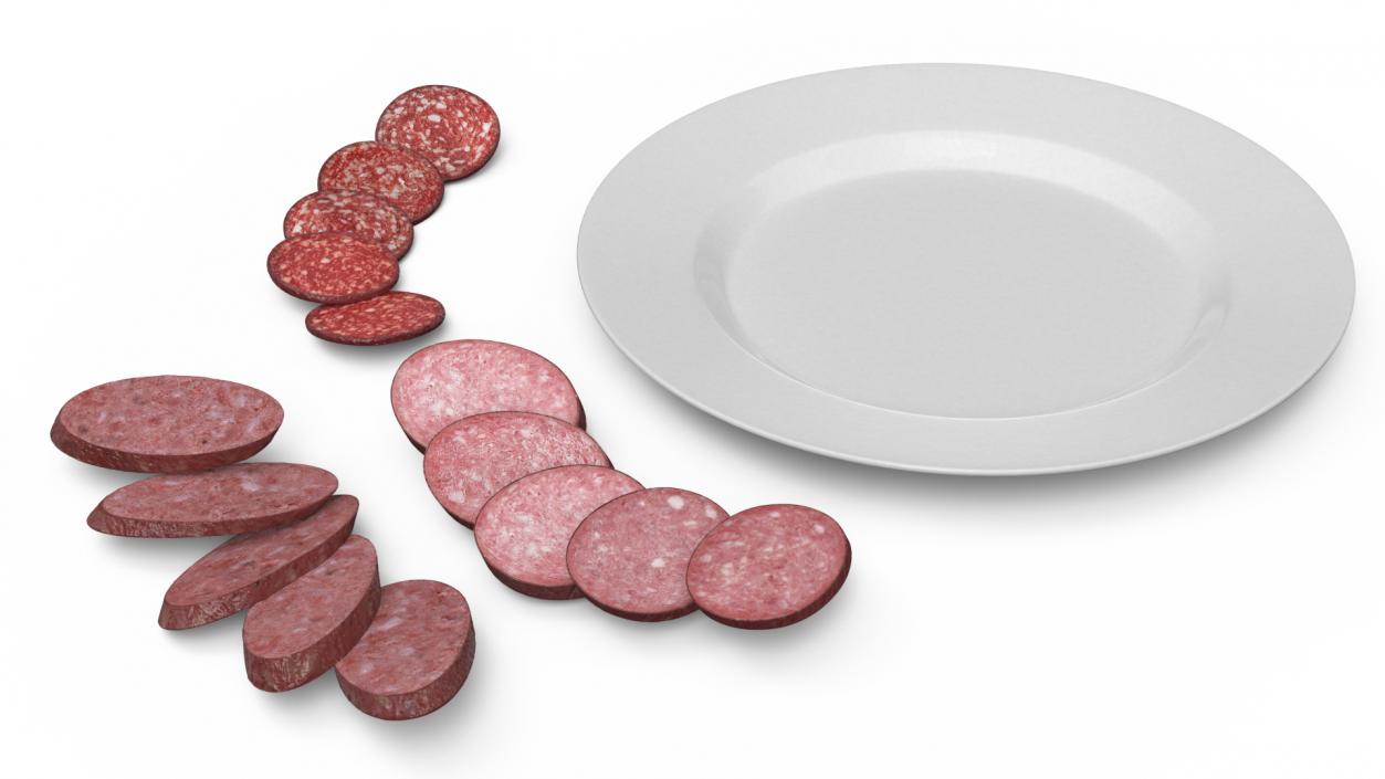 Slices of Delicious Sausage Salami 3D model