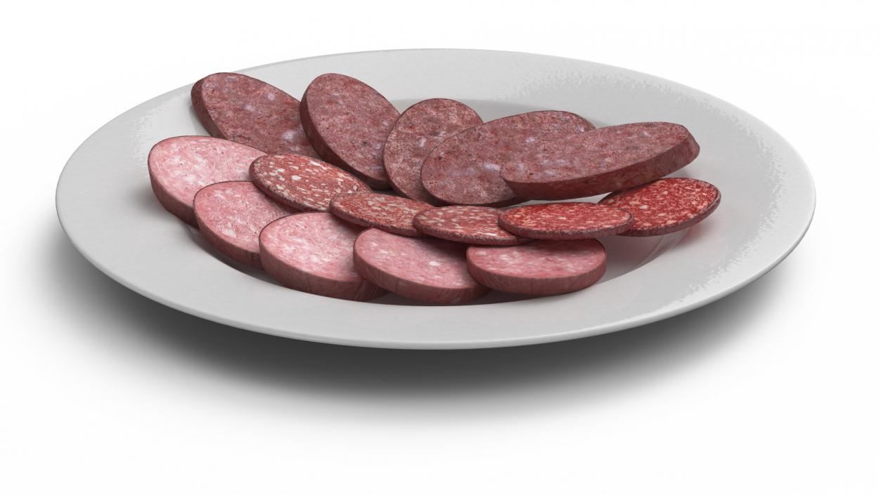 Slices of Delicious Sausage Salami 3D model