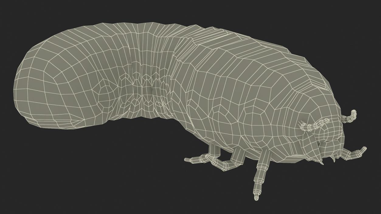 3D model Maggot May Bug Rigged Fur