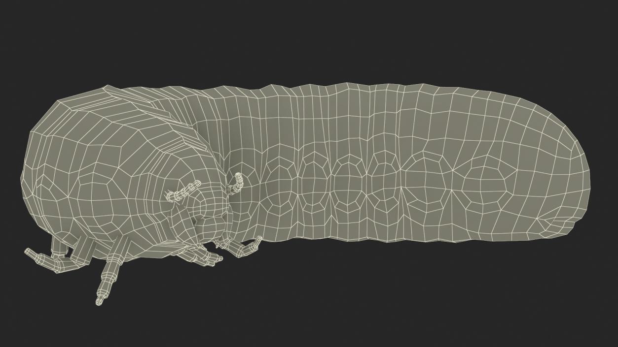 3D model Maggot May Bug Rigged Fur