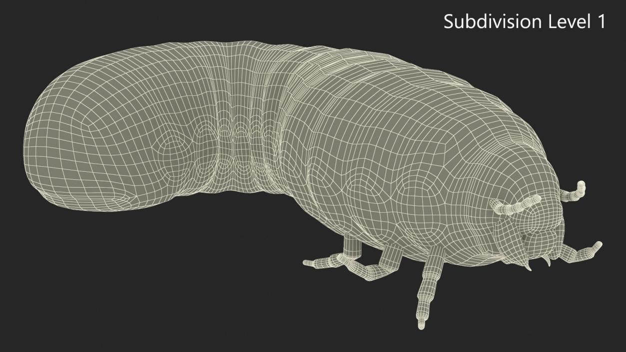 3D model Maggot May Bug Rigged Fur