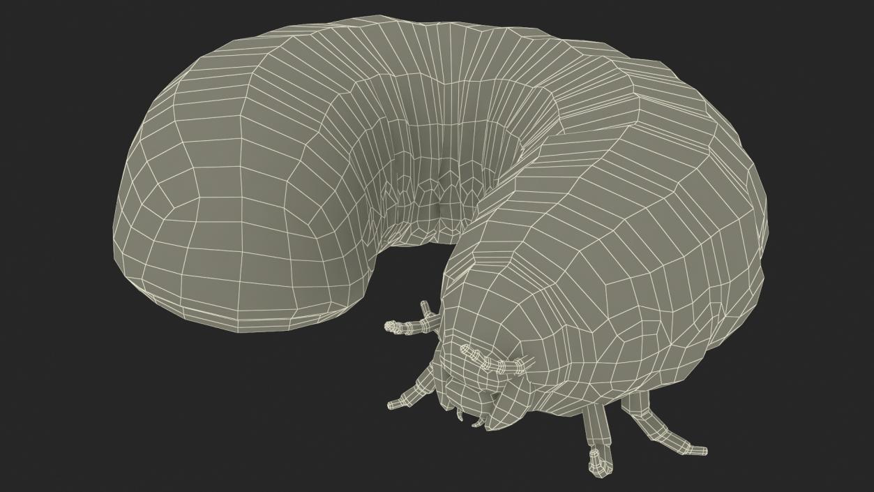 3D model Maggot May Bug Rigged Fur