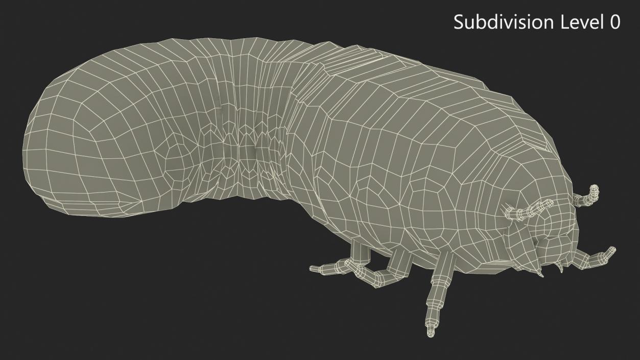 3D model Maggot May Bug Rigged Fur