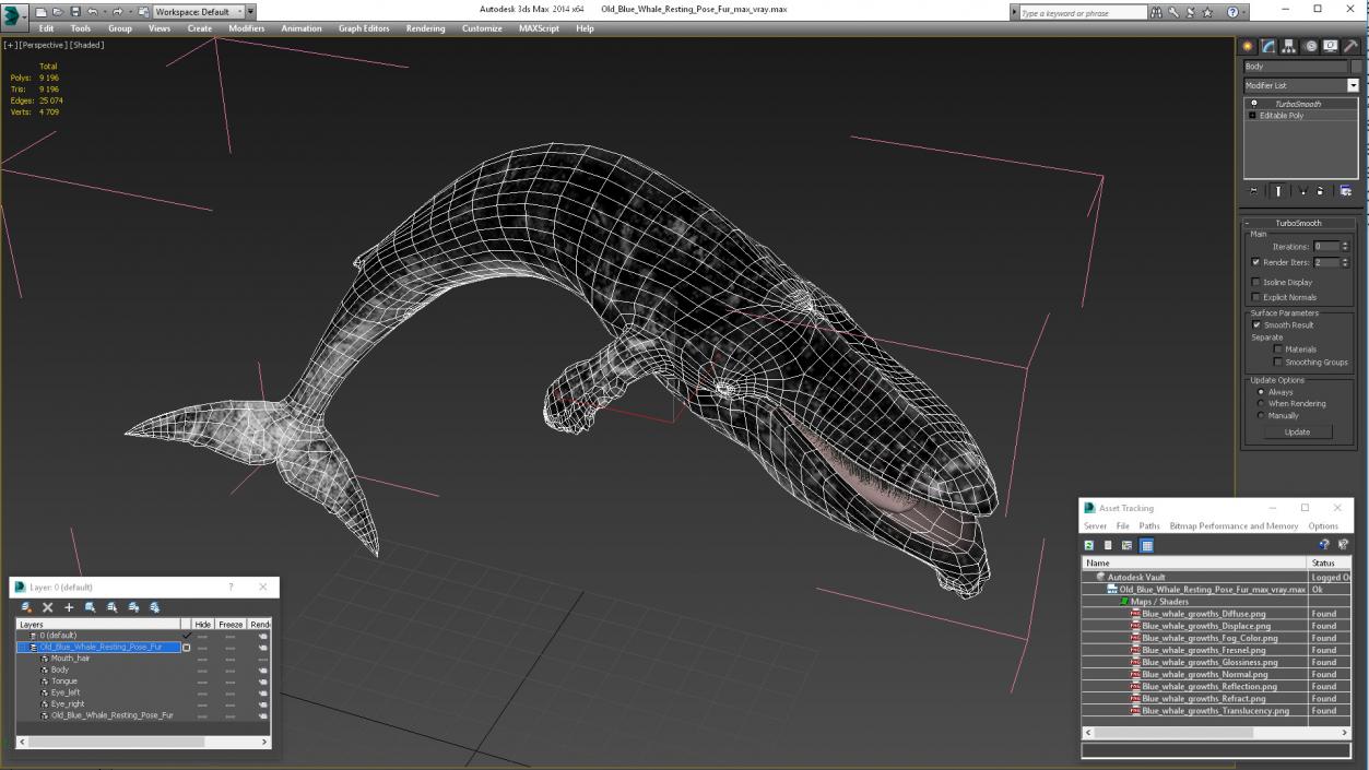 3D Old Blue Whale Resting Pose Fur