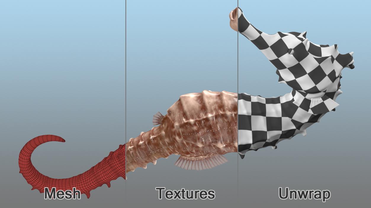 3D model Spotted Seahorse Hippocampus Kuda Rigged