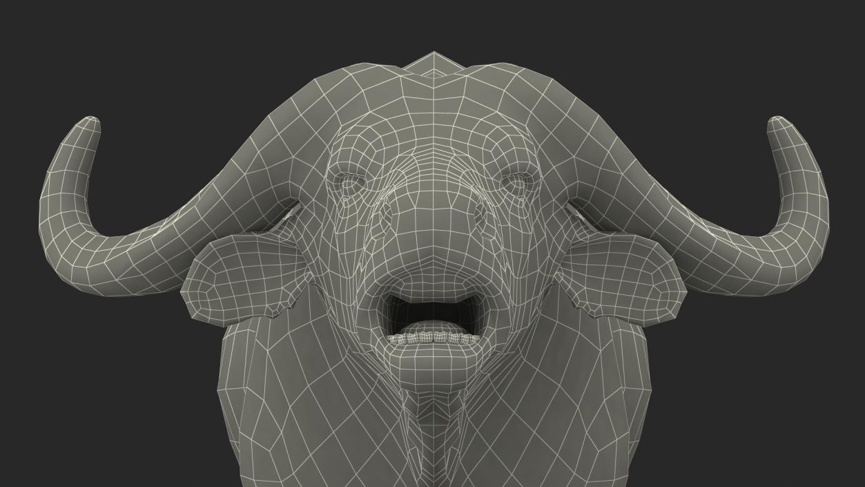 Cape Buffalo African Buffalo with Fur Rigged 3D model