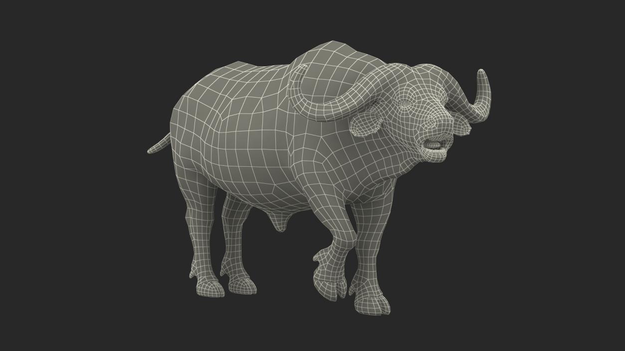 Cape Buffalo African Buffalo with Fur Rigged 3D model