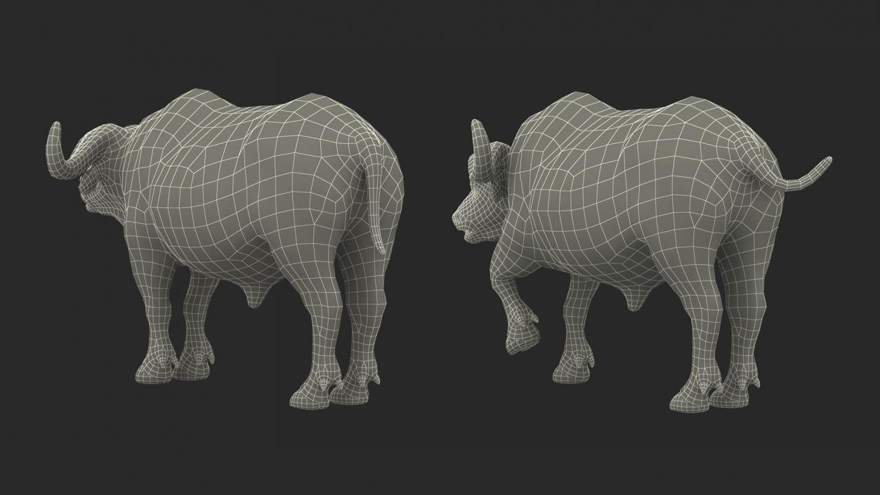 Cape Buffalo African Buffalo with Fur Rigged 3D model